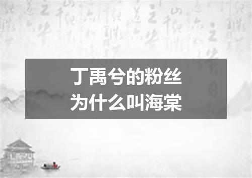 丁禹兮的粉丝为什么叫海棠