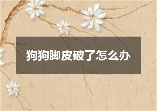 狗狗脚皮破了怎么办