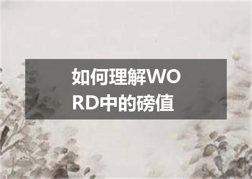 如何理解WORD中的磅值
