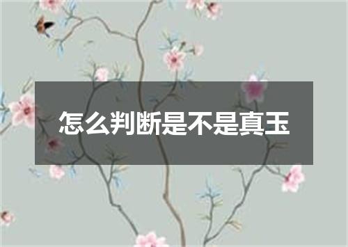 怎么判断是不是真玉