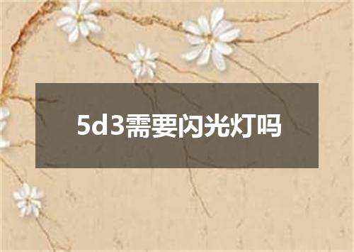 5d3需要闪光灯吗