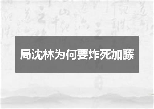 局沈林为何要炸死加藤
