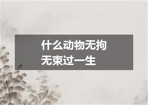 什么动物无拘无束过一生