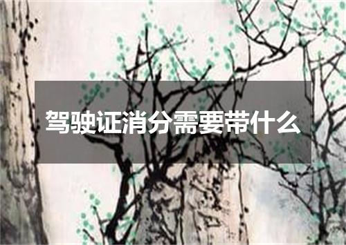 驾驶证消分需要带什么