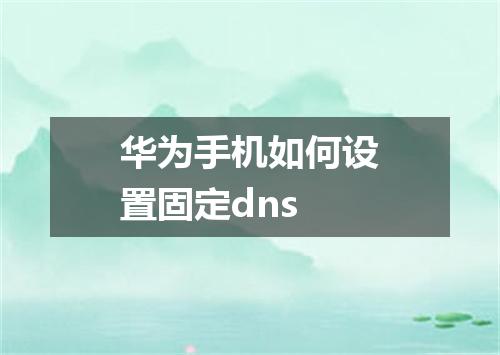 华为手机如何设置固定dns