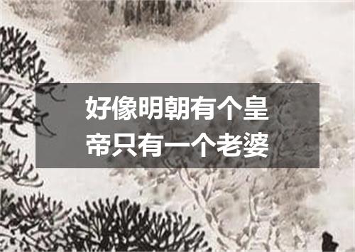 好像明朝有个皇帝只有一个老婆