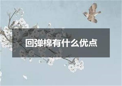 回弹棉有什么优点