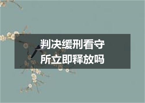 判决缓刑看守所立即释放吗