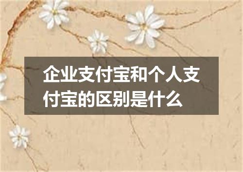 企业支付宝和个人支付宝的区别是什么