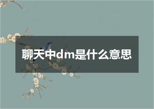 聊天中dm是什么意思