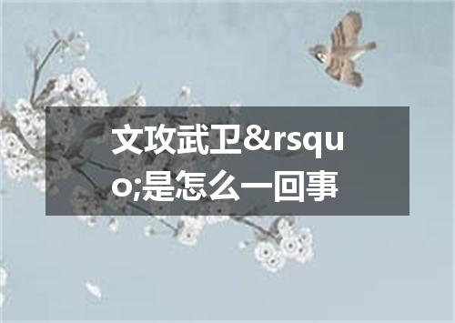 文攻武卫&rsquo;是怎么一回事