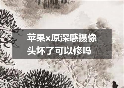 苹果x原深感摄像头坏了可以修吗