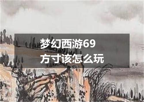 梦幻西游69方寸该怎么玩