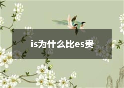 is为什么比es贵