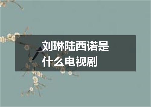 刘琳陆西诺是什么电视剧