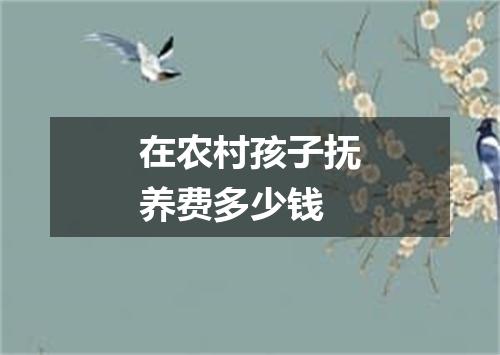 在农村孩子抚养费多少钱