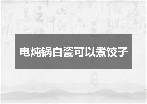 电炖锅白瓷可以煮饺子