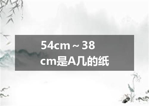 54cm～38cm是A几的纸