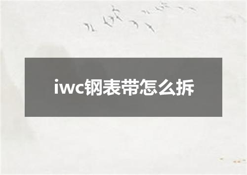 iwc钢表带怎么拆
