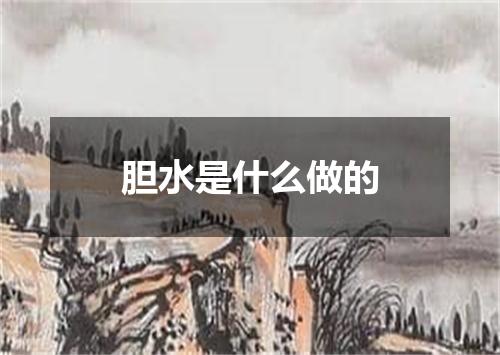胆水是什么做的
