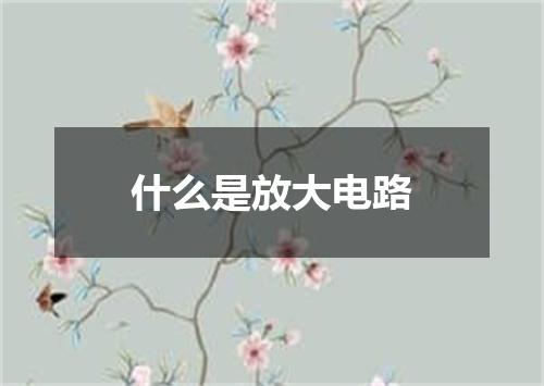 什么是放大电路