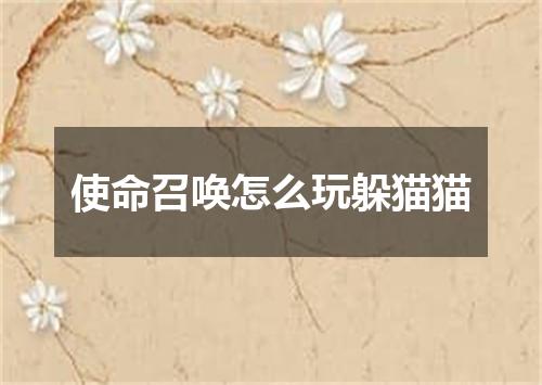 使命召唤怎么玩躲猫猫