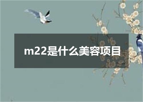 m22是什么美容项目