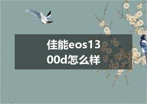 佳能eos1300d怎么样