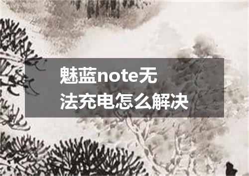 魅蓝note无法充电怎么解决