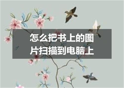 怎么把书上的图片扫描到电脑上