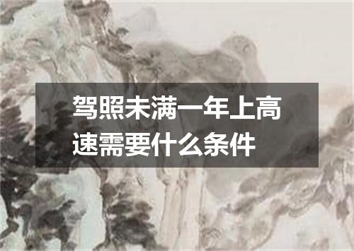 驾照未满一年上高速需要什么条件