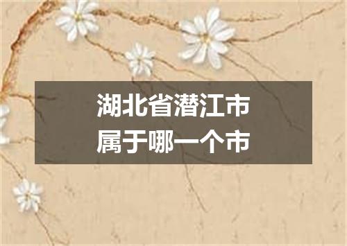 湖北省潜江市属于哪一个市