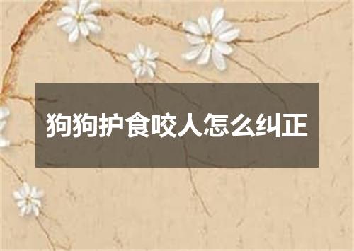 狗狗护食咬人怎么纠正