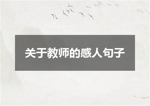关于教师的感人句子