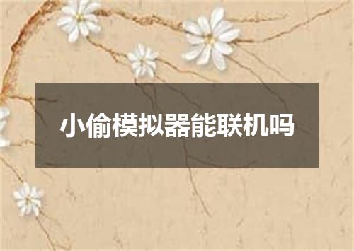 小偷模拟器能联机吗