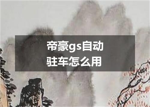 帝豪gs自动驻车怎么用