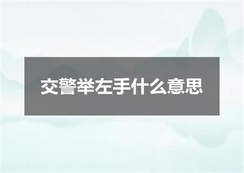 交警举左手什么意思
