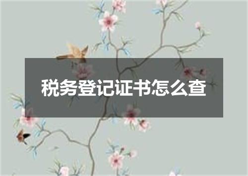 税务登记证书怎么查