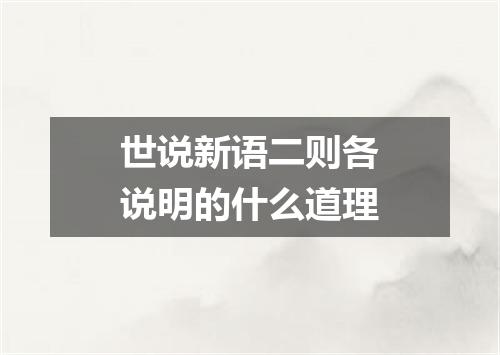 世说新语二则各说明的什么道理