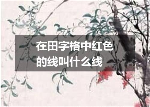 在田字格中红色的线叫什么线