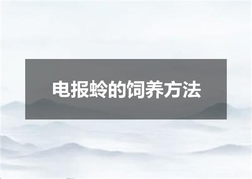 电报蛉的饲养方法