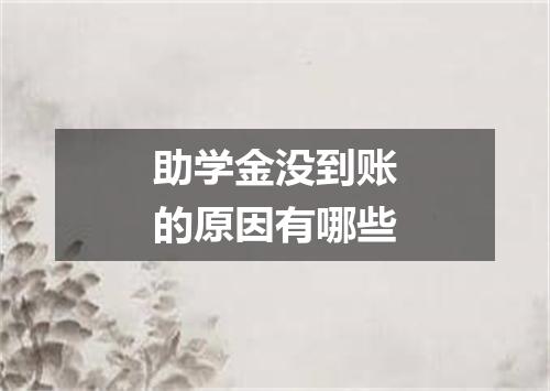 助学金没到账的原因有哪些