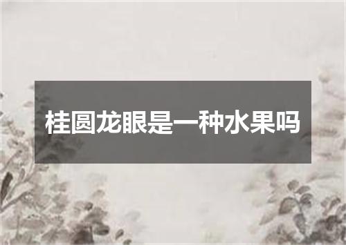 桂圆龙眼是一种水果吗
