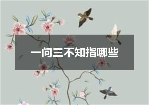 一问三不知指哪些