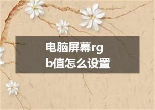 电脑屏幕rgb值怎么设置