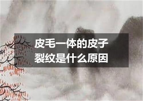 皮毛一体的皮子裂纹是什么原因