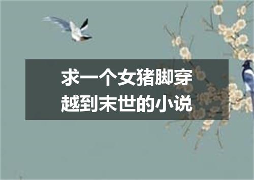 求一个女猪脚穿越到末世的小说