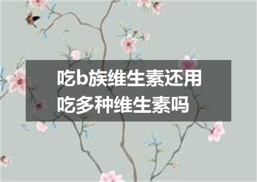 吃b族维生素还用吃多种维生素吗