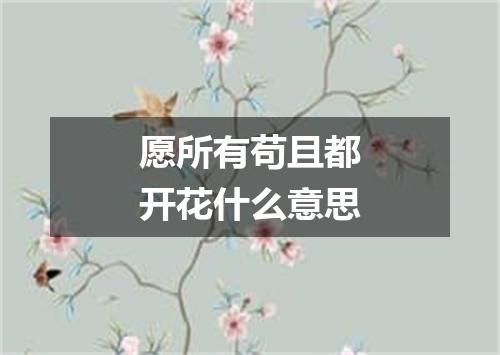 愿所有苟且都开花什么意思