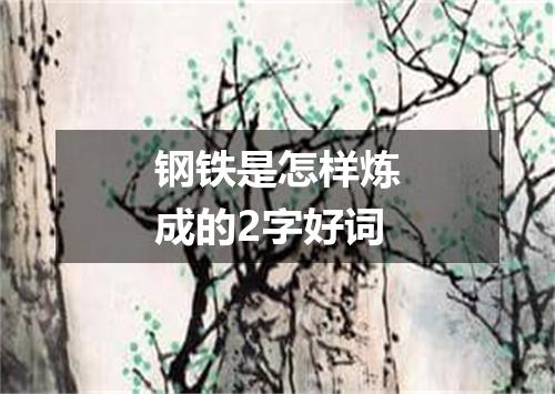钢铁是怎样炼成的2字好词